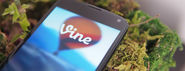Vine Updates App, Bringing Instagram-Style Double-Tap Liking