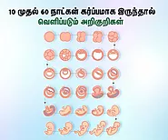 10 முதல் 60 நாட்கள் கர்ப்பமாக இருந்தால் வெளிப்படும் அறிகுறிகள் என்ன? | 10 to 60 Days Pregnancy Symptoms in Tamil