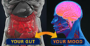 Gut Brain Axis (GBA) - Philadelphia Holistic Clinic - Dr. Tsan & Associates
