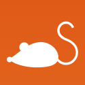 Skqueak - Share Photos with Sketching and Speaking