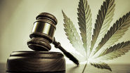 Legal marijuana