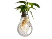 Light Bulb Planter