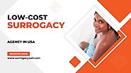 Low Cost Surrogacy Agency In USA and Overseas