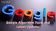 Google Algorithm Facts and Latest Updates That Every SEO Should Know