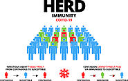 What is Herd Immunity During Corona Virus
