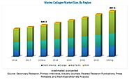 Marine Collagen Market - Global Forecast to 2023