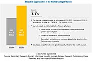 Marine Collagen Market Size, Share | Growth Opportunities -Forecast to 2023 | COVID-19 Impact on Marine Collagen Mark...