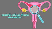 ஃபோலிகுலர் ஆய்வில் எண்டோமெட்ரியல் லைனிங் (ET) என்றால் என்ன? | What is ET in follicular study?