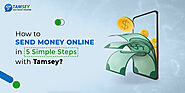 How to Send Money Online in 5 Simple Steps with Tamsey?