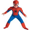 Deluxe Spider-Man Toddler Muscle Chest Costume - Infant Costumes - Marvel Costumes