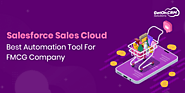 Salesforce Sales Cloud: Best Automation Tool For FMCG Company