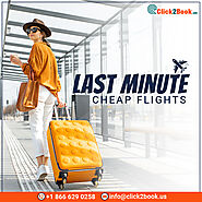 Cheap Last Minute Flight Tickets and Deals, Grab it Now
