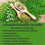 Seven Miraculous Benefits of Moringa (Sohanjna)