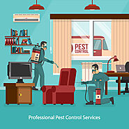 5 Benefits of a Pest Inspection Before Buying a House - HotGossips