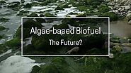 Pros and Cons of Algae-Based Biofuel