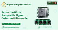 Scare the Birds Away with Pigeon Deterrent Ultrasonic