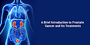 Website at https://everydays-health-tips.blogspot.com/2021/02/all-about-prostate-cancer-treatments.html