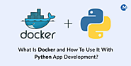 What Is Docker and How To Use It With Python App Development?