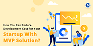 How You Can Reduce Costs For Your Startup With MVP Development Solutions?