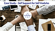 Case Study: SAP Support for the modules FI, CO, SD, MM, PP, PM, QM