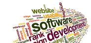 Various Phases of Software Web Application Development