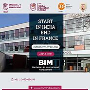 BIM Courses in India with IMM India Marketing Institute