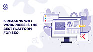 6 Reasons Why WordPress is The Best Platform For SEO