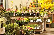 Existing Flower Shop , Business For Sale At Al Rahba UAE | Tobuz