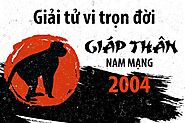 Tuổi Giáp Thân sinh năm 2004 - Tử vi trọn đời Nam| Nữ mạng