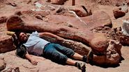 Largest titanosaur discovered http://www.bbc.com/news/science-environment-27441156