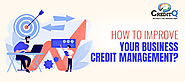 How to Improve Your Business Credit Management? | CreditQ
