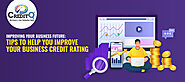 Improving Your Business Future: Tips to Help You Improve Your Business Credit Rating | CreditQ