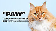 “Paw”-some Characteristics of Cats You Should Know - Lynda Hamblen