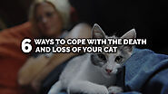 Six Ways to Cope With the Death and Loss of Your Cat - Lynda Hamblen