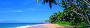 Negombo Beach,