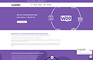 Wp Customify WooCommerce Support
