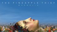Magnolia by The Pineapple Thief