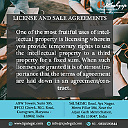 License and Sale Agreements