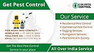 Commercial Pest Control Services in Delhi NCR | Commercial Pest Control Near me