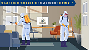 What to Do Before and After Pest Control Treatment