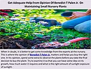Get Adequate Help From Opinion Of Benedict T Palen Jr. On Maintaining Small Nursery Plants