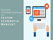 What Could Be The Advantages And Disadvantages Of A Custom eCommerce Website?