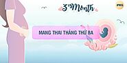 Mang thai tháng thứ 3: Thai nhi phát triển nhanh chóng - iPREG