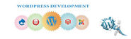 Shreeya It solutions gain high sustain as Wordpress Development Company
