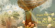 Eucalyptus Honey Suppliers in India