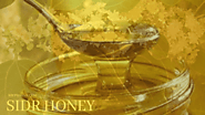 Wholesale Sidr Honey Suppliers in India - Rbfpharma.com