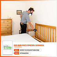 Bed Bug Pest Control services in Kolkata