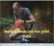 medicine for joint pain | Choose the Best Herbal Medicine for Joint Pain