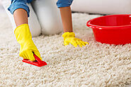 Take The Best Service Of Carpet Cleaning