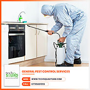 General Pest Control services in Chennai